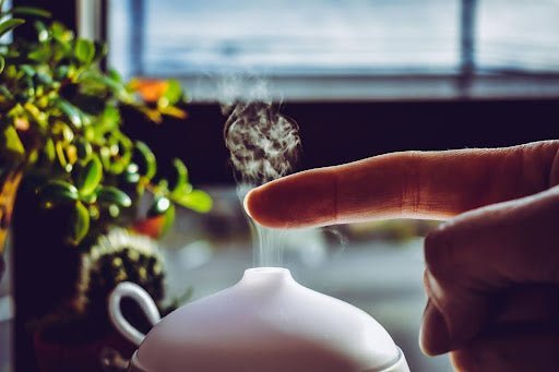 Build Your Essential Oil Collection: A Beginner's Guide