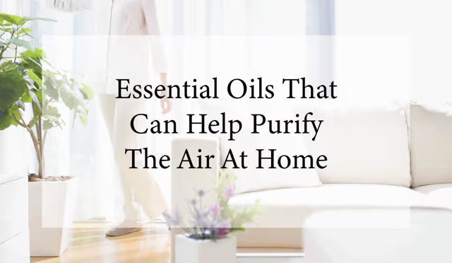 The Best Essential Oils That Can Help Purify The Air At Home