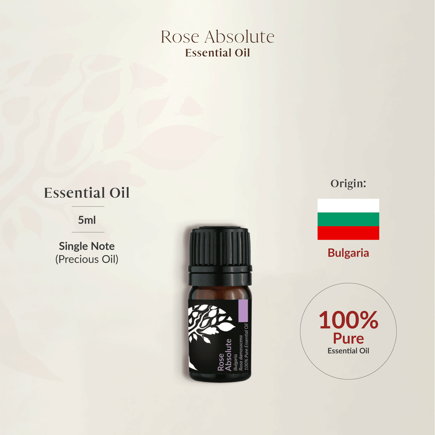 Rose Absolute Essential Oil 5ml