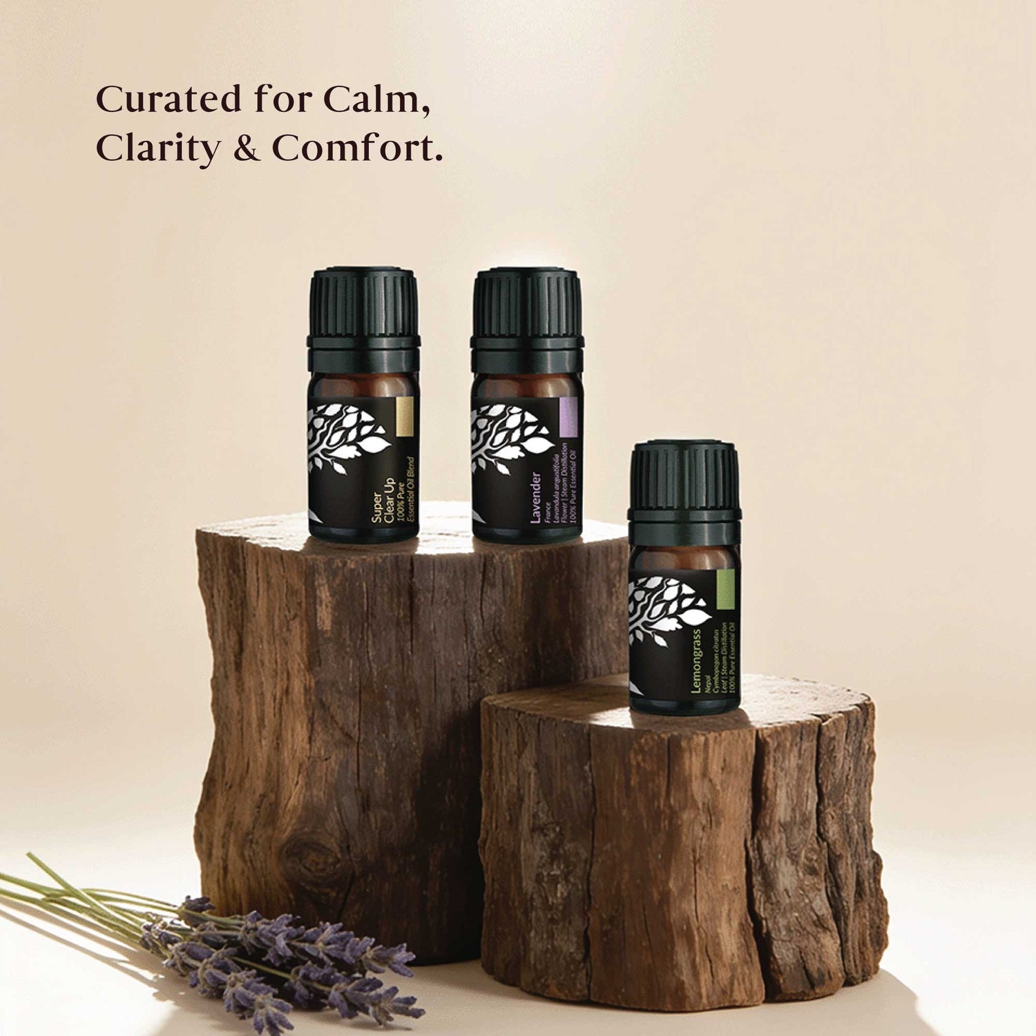 Discovery Kit - Essential Oil