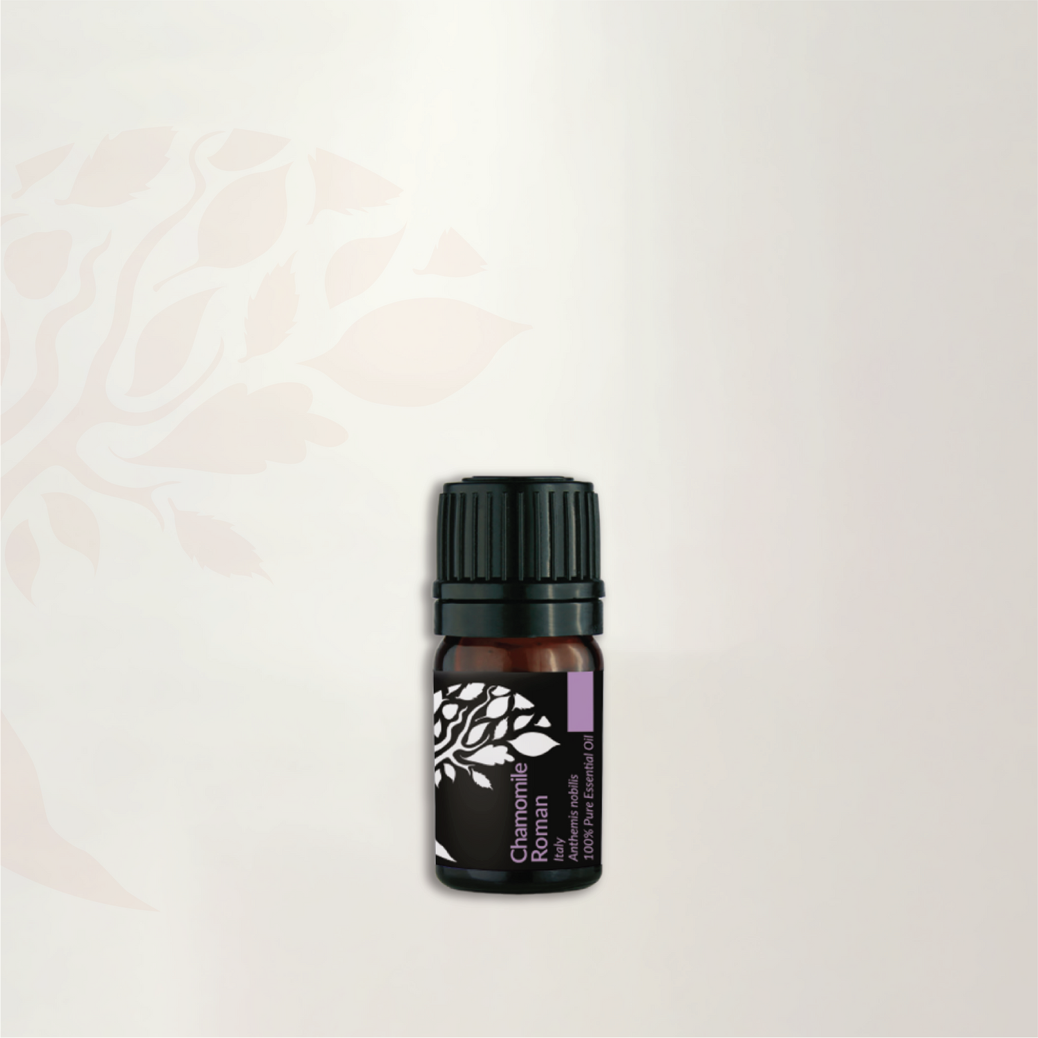 Chamomile Roman Essential Oil 5ml (Expiry : OCT 2026)