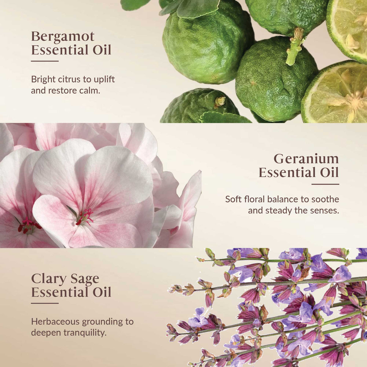 Promotional graphic for Bergamot, Geranium, and Clary Sage essential oils with corresponding images and descriptions.