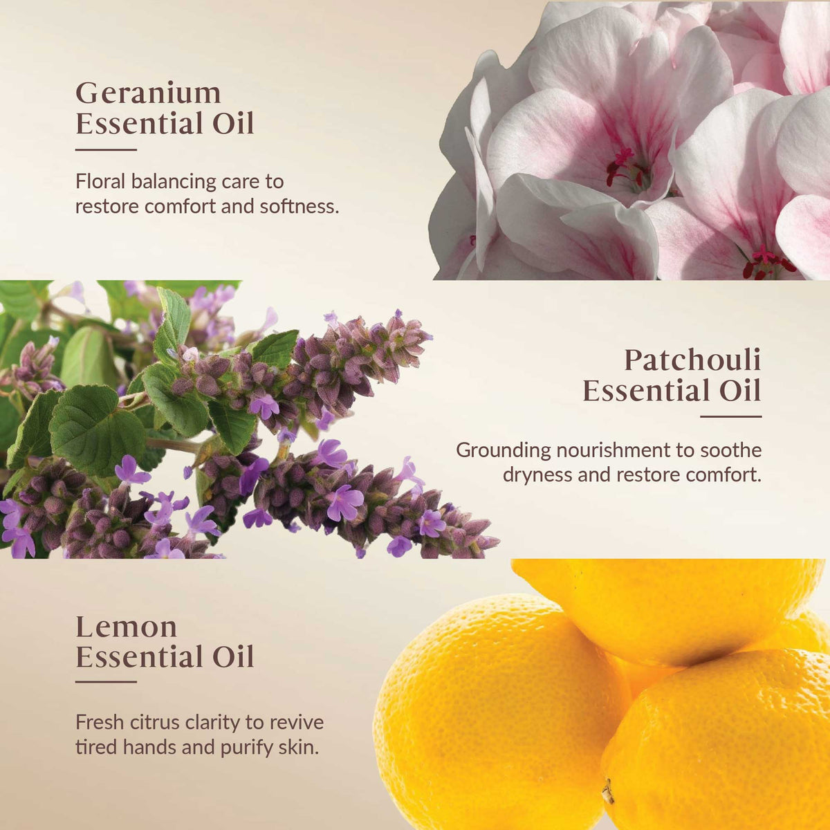 Promotional graphic for Geranium, Patchouli, and Lemon Essential Oils with corresponding images and descriptions.