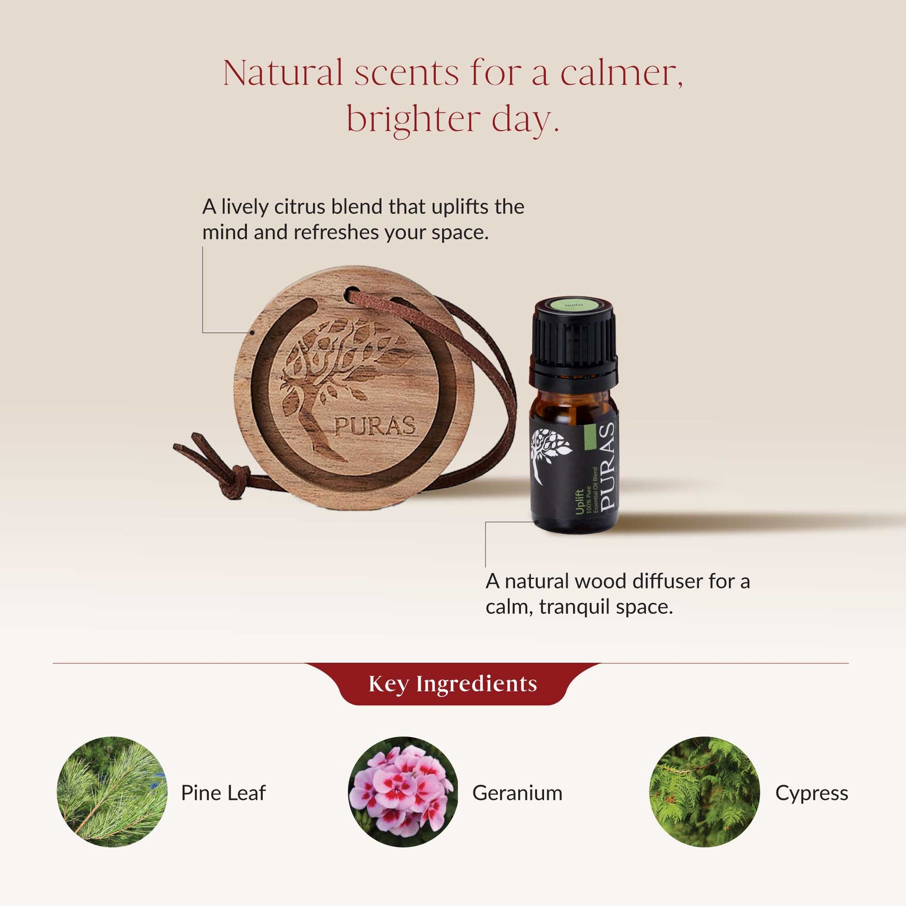 Puras essential oil diffuser and bottle with natural ingredients on a beige background