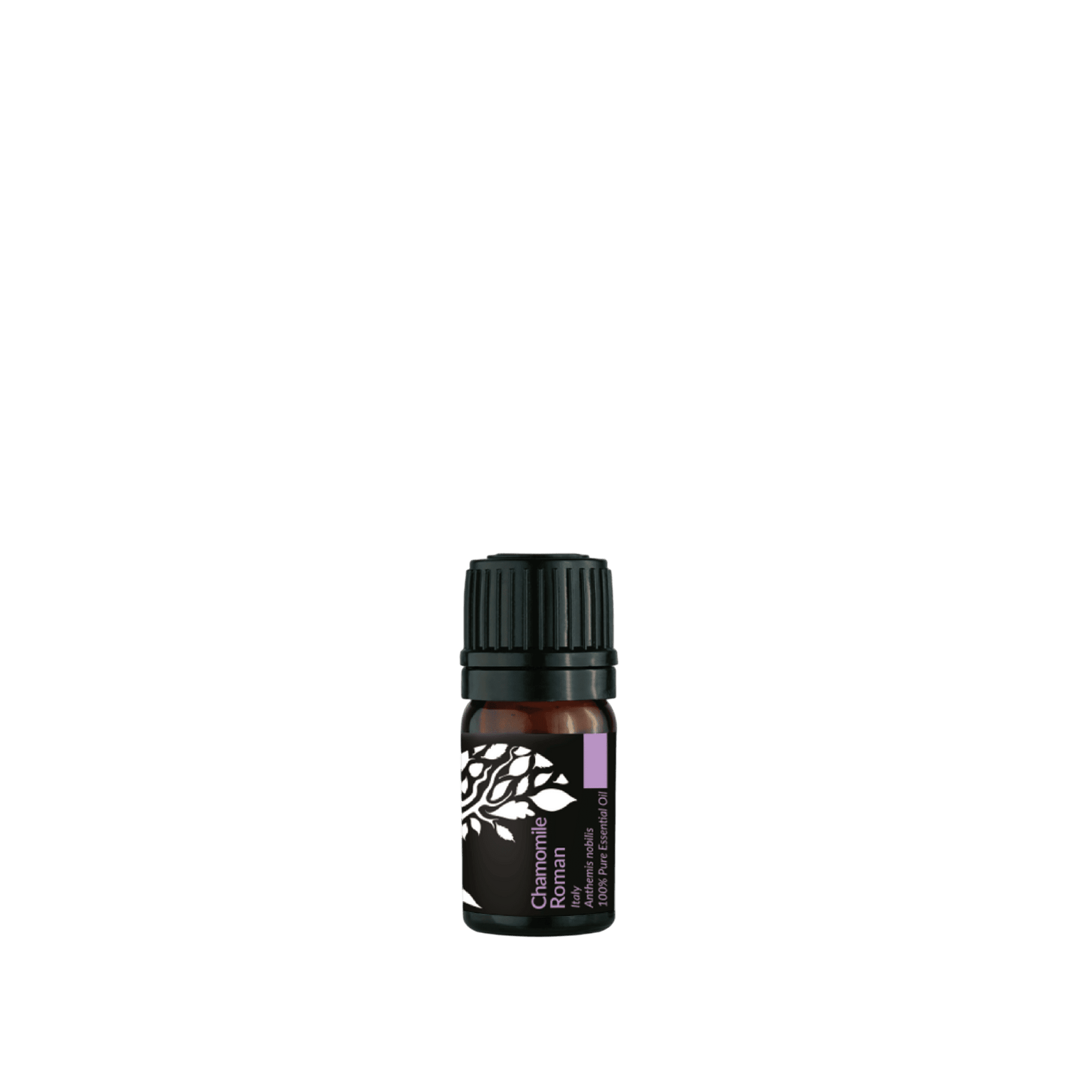 Chamomile Roman Essential Oil 5ml