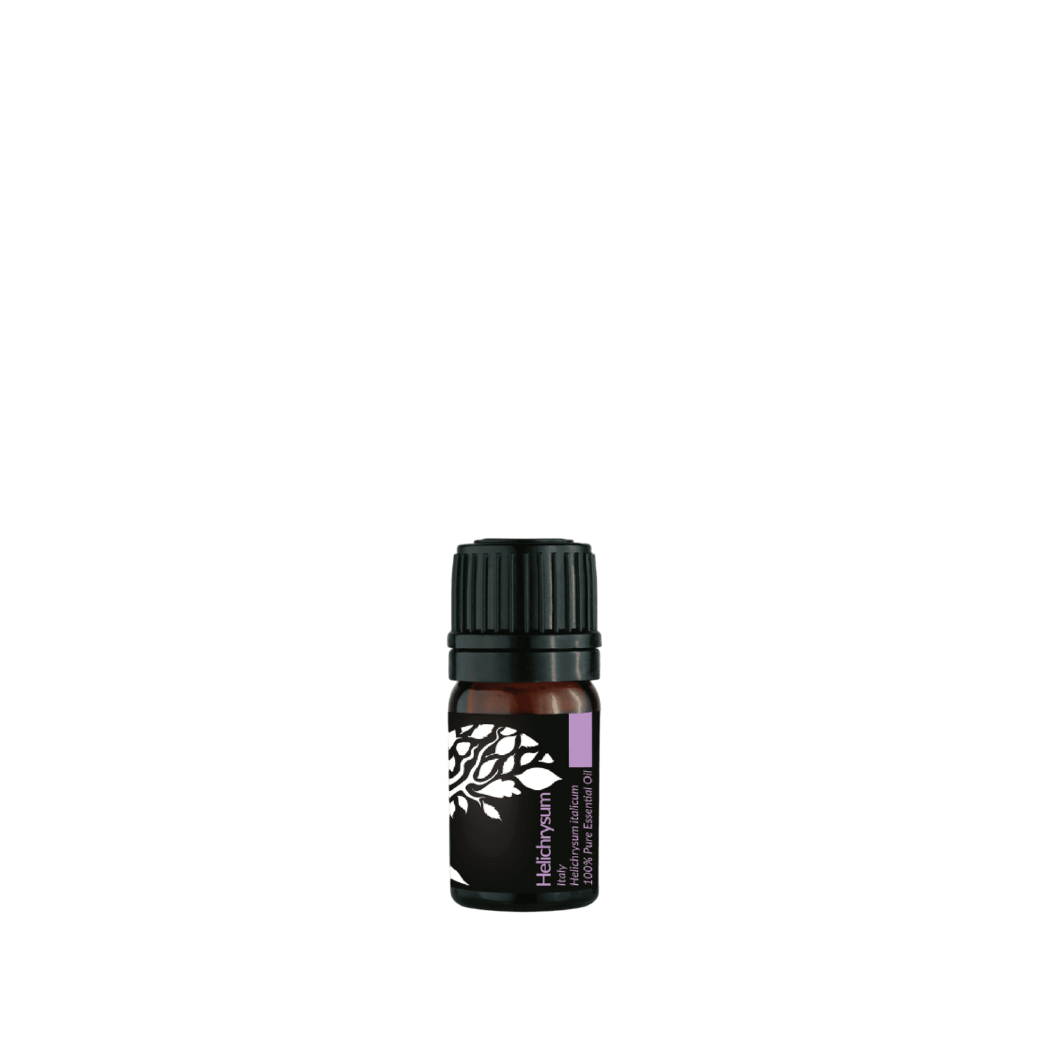 Helichrysum Essential Oil 5ml (Expiry : OCT 2026)