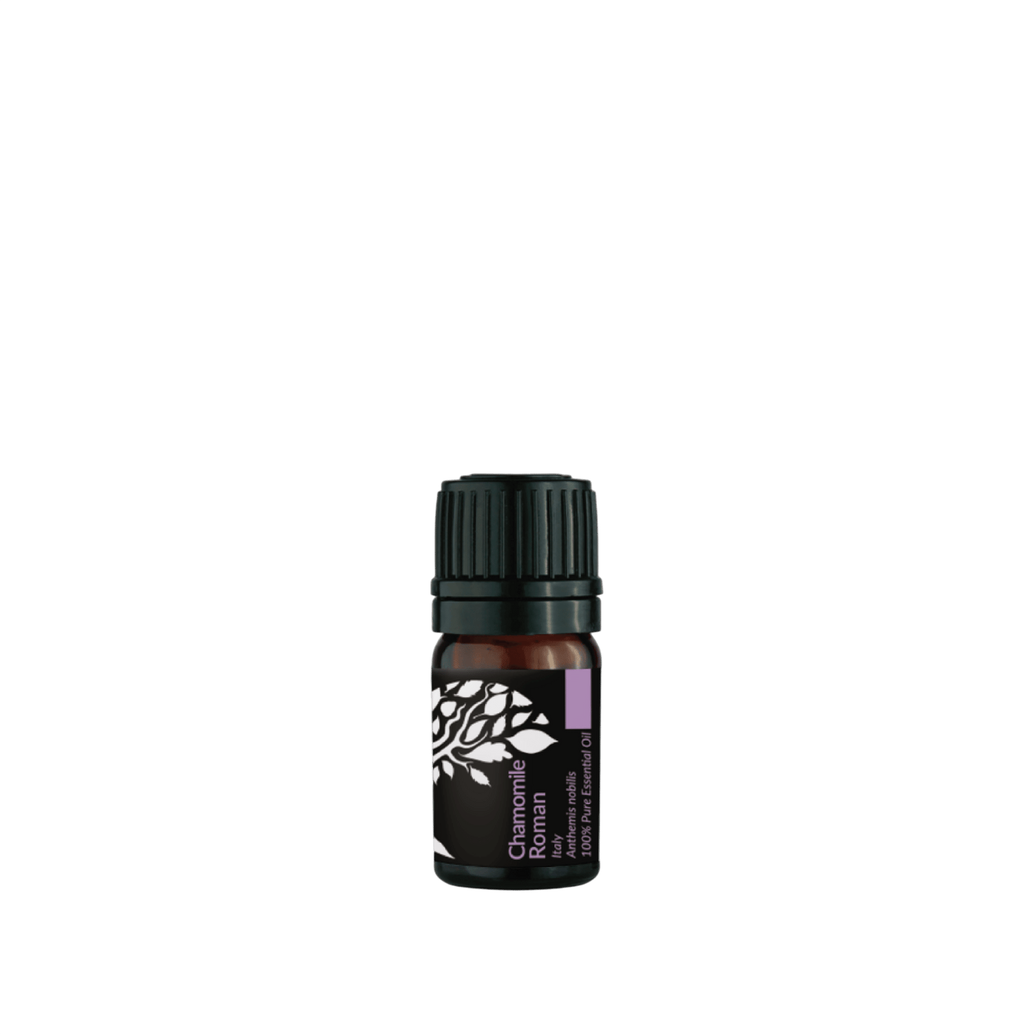Chamomile Roman Essential Oil 5ml (Expiry : OCT 2026)
