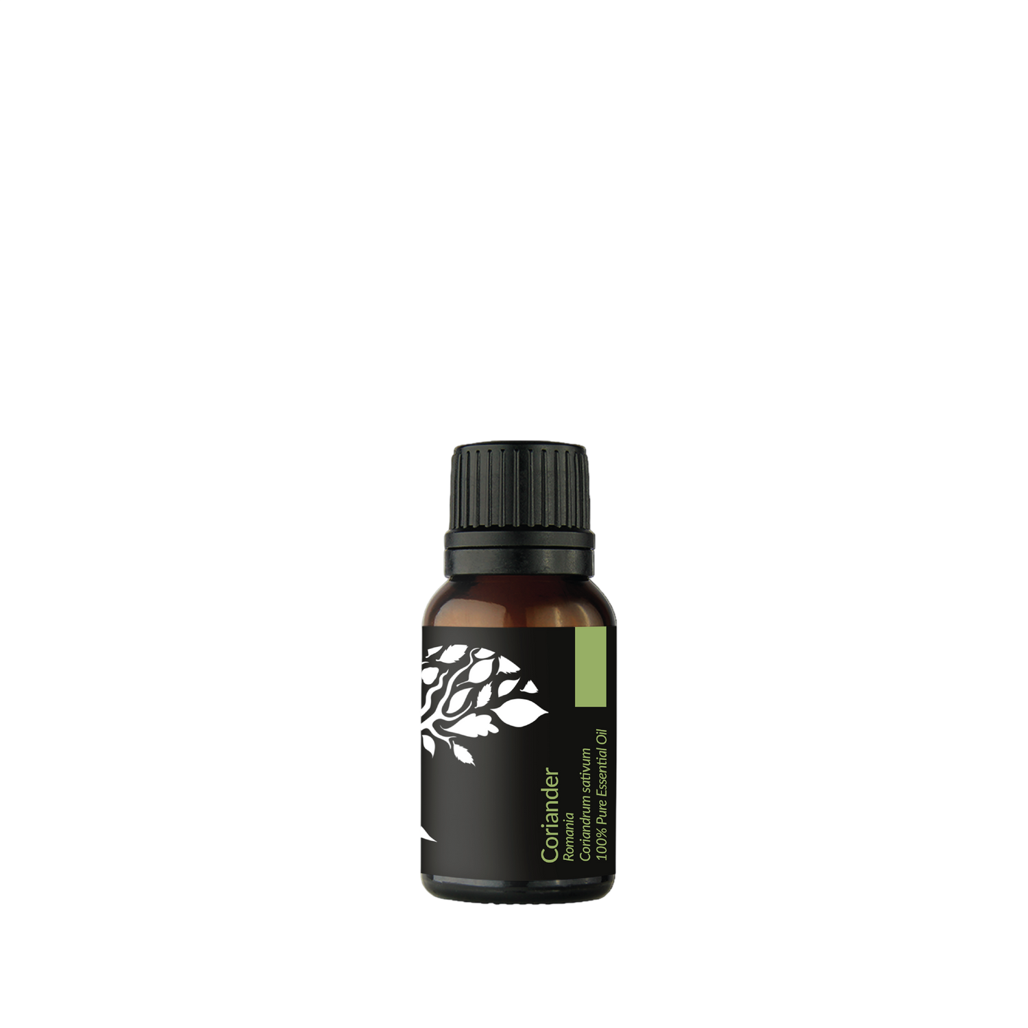 Coriander Essential Oil 15ml (Expiry: NOV 2026)