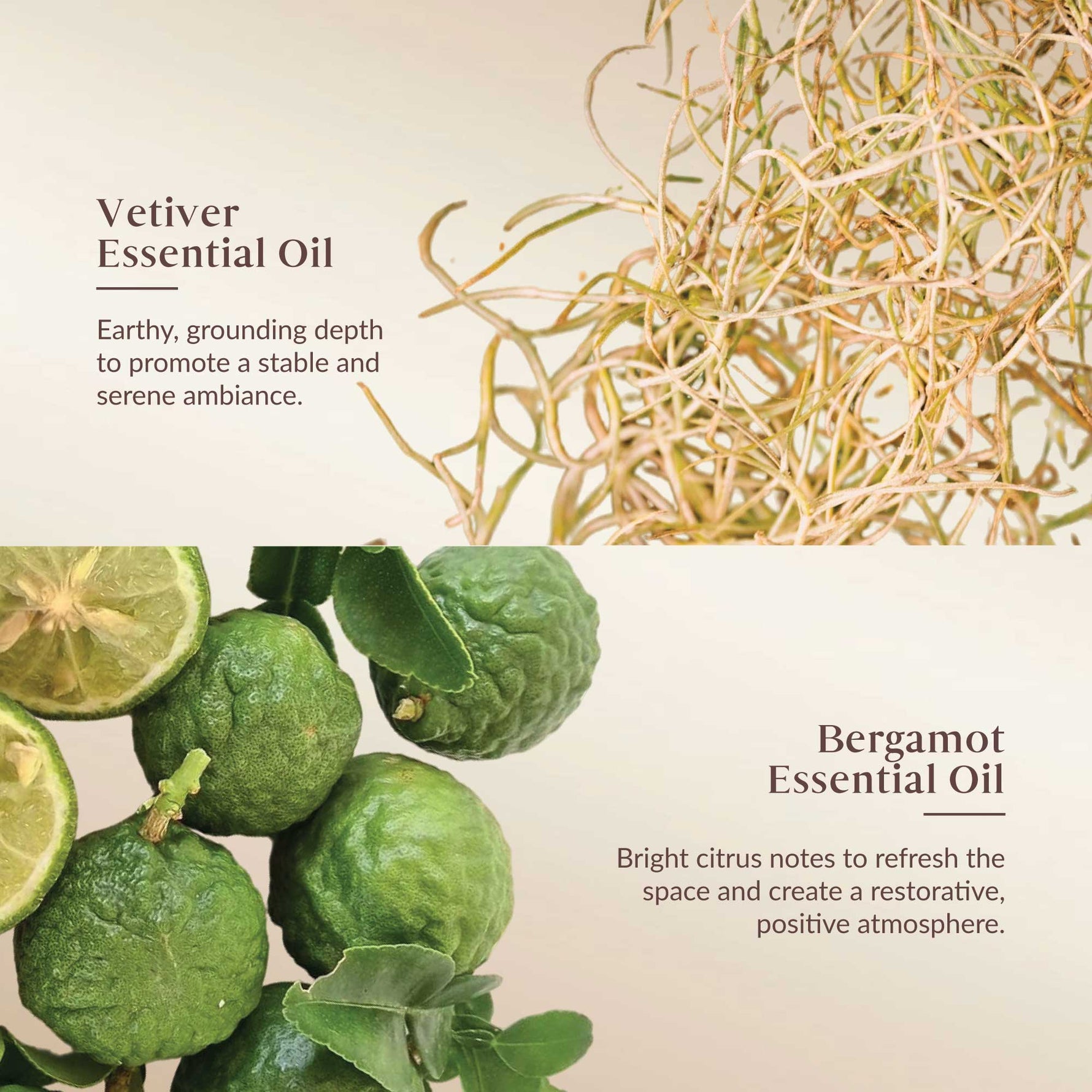 Vetiver and Bergamot essential oils with their respective images and descriptions.