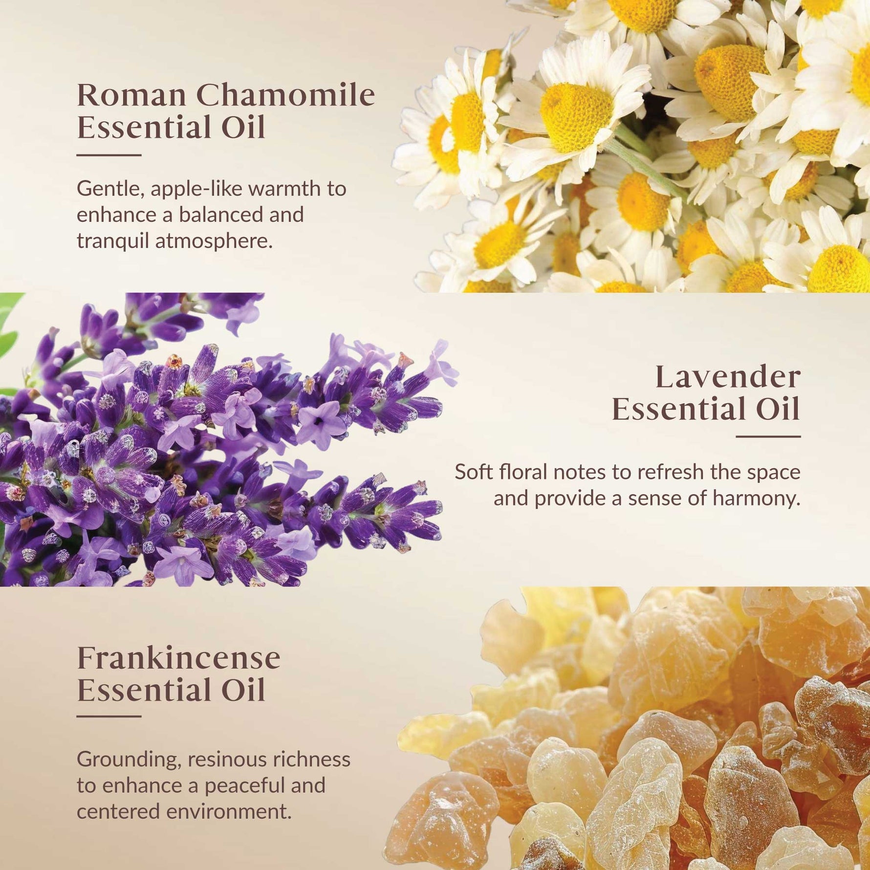 Promotional image of Roman Chamomile, Lavender, and Frankincense essential oils with corresponding flowers and resin.