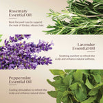 Promotional graphic for Rosemary, Lavender, and Peppermint Essential Oils with images of the plants.