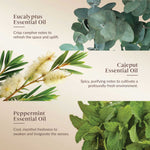 Promotional image of eucalyptus, cajeput, and peppermint essential oils with plant images and descriptive text.